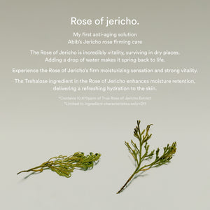 Jericho rose non-animal collagen pad firming touch
