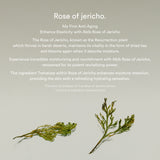 Jericho rose tube