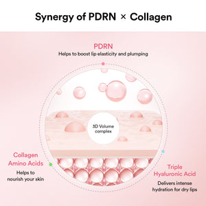 PDRN 5-Step Repair Routine