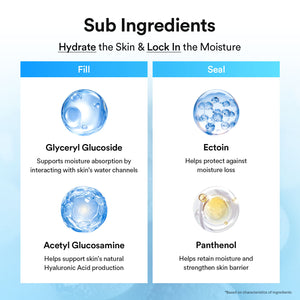 Daily Hydration Hero 4-Step