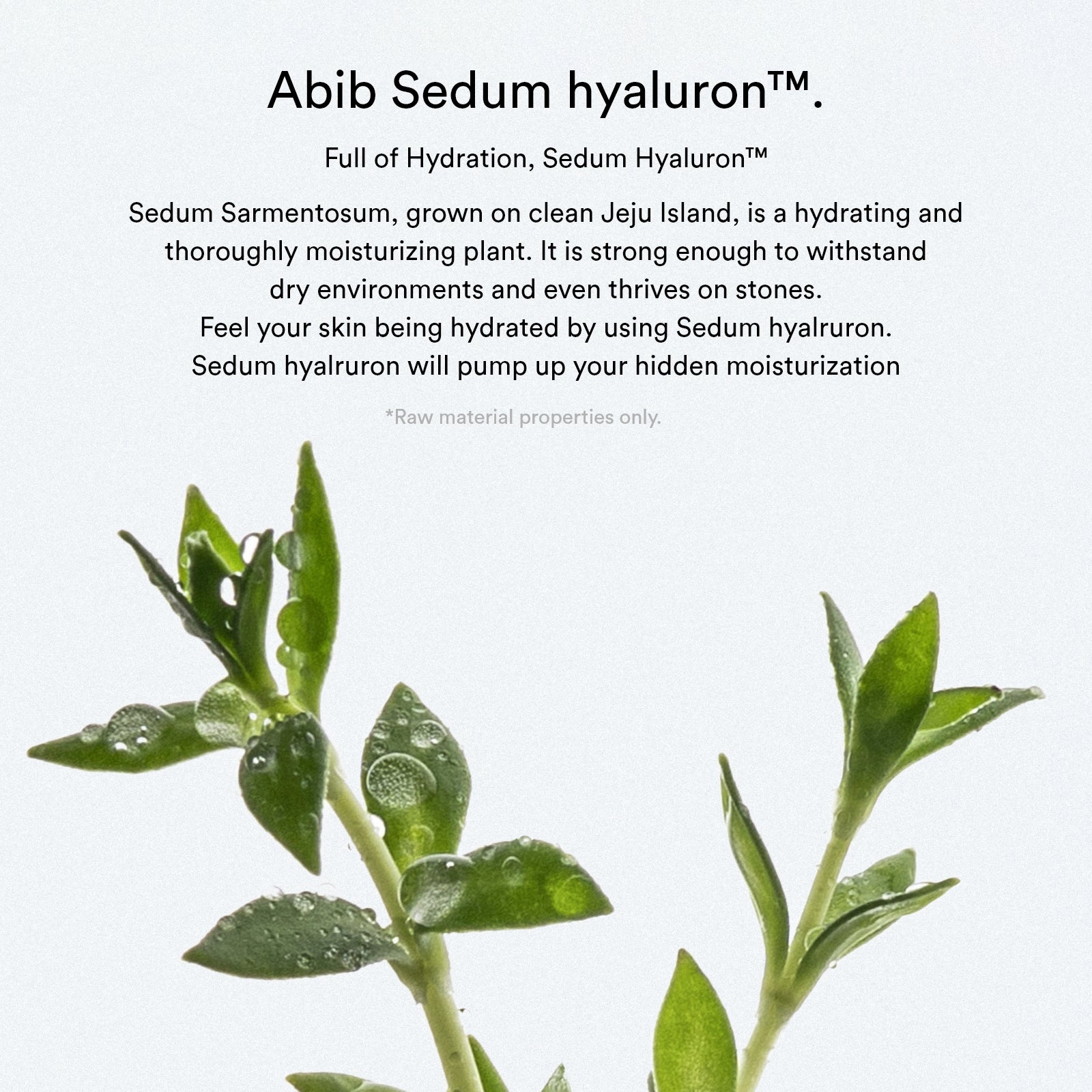 Sedum Hyaluron creme Hydrating Pot